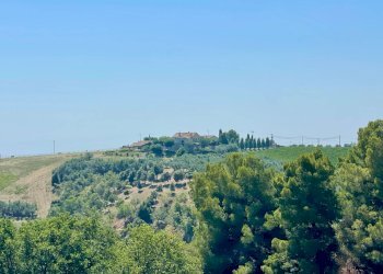 Foto 22 - Rustico Quercia Ferrata, Ripatransone - foto 22