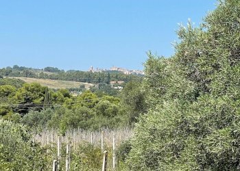 Foto 24 - Rustico Quercia Ferrata, Ripatransone - foto 24