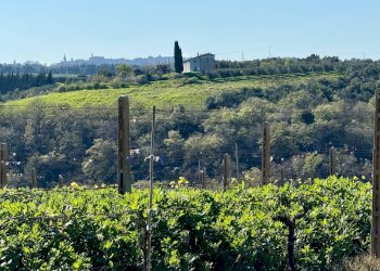 Foto 28 - Rustico Quercia Ferrata, Ripatransone - foto 28