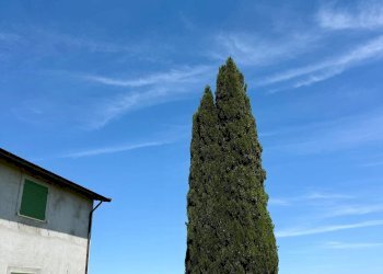 Foto 32 - Rustico Quercia Ferrata, Ripatransone - foto 32