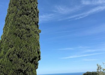 Foto 35 - Rustico Quercia Ferrata, Ripatransone - foto 35