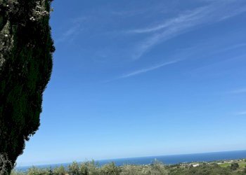 Foto 37 - Rustico Quercia Ferrata, Ripatransone - foto 37