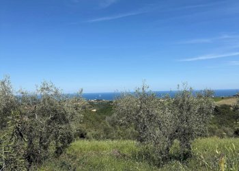 Foto 43 - Rustico Quercia Ferrata, Ripatransone - foto 43