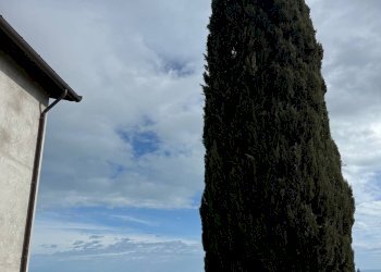 Foto 54 - Rustico Quercia Ferrata, Ripatransone - foto 53