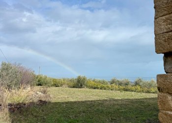 Foto 58 - Rustico Quercia Ferrata, Ripatransone - foto 57