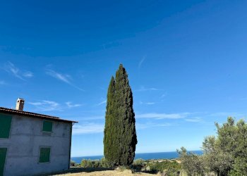 Foto 38 - Rustico Quercia Ferrata, Ripatransone - foto 38