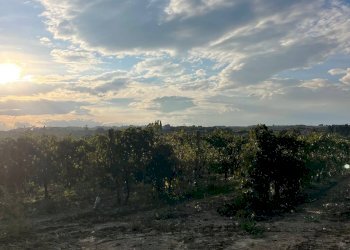 Foto 4 - Rustico CONTRADA SANT'ANDREA, Cupra Marittima - foto 4