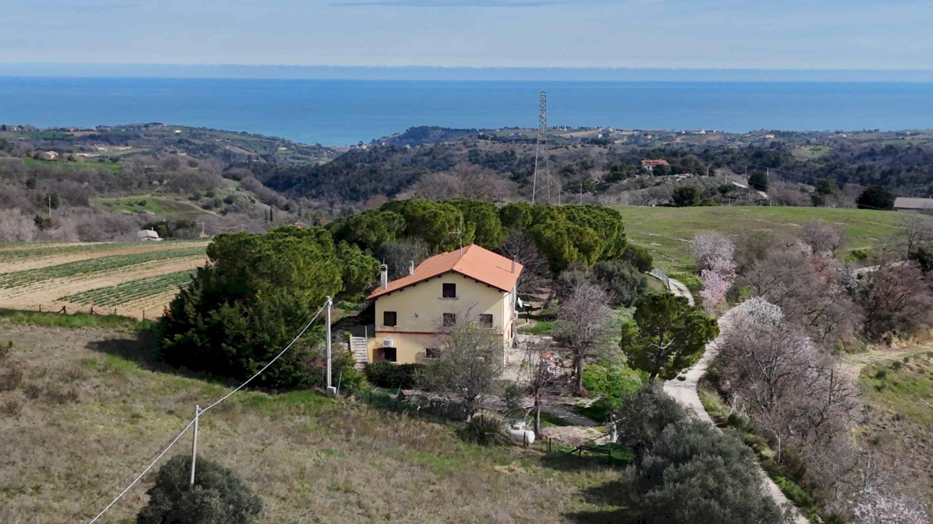 Foto 2 - Rustico petrella, Ripatransone - foto 2