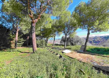 Foto 6 - Rustico petrella, Ripatransone - foto 6