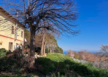 Foto 9 - Rustico petrella, Ripatransone - foto 9