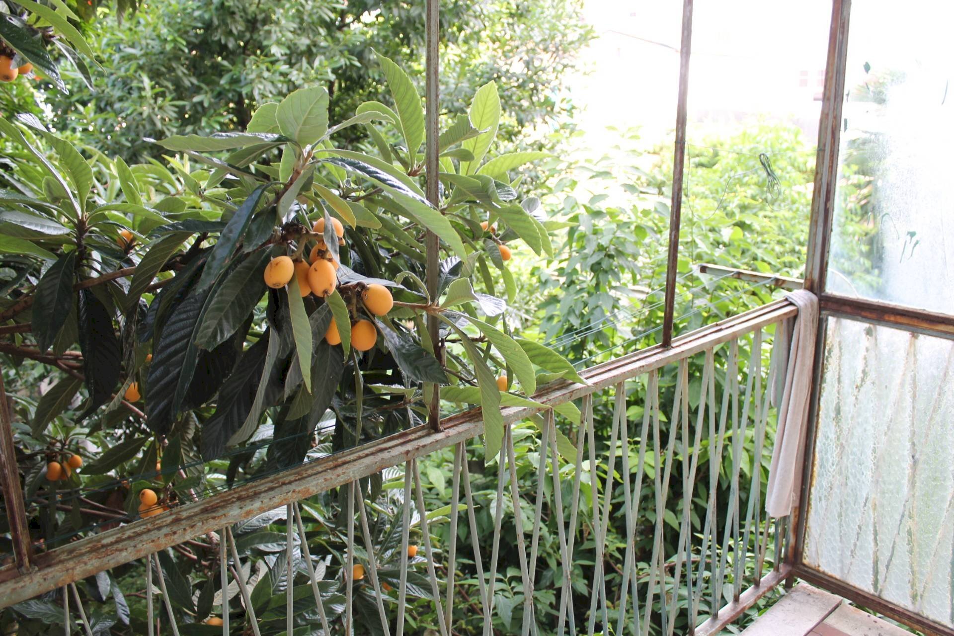 Foto 2 - Casa indipendente via giulio romano, Mantova - foto 2