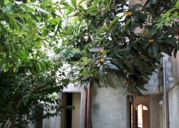 Foto 7 - Casa indipendente via giulio romano, Mantova - foto 7