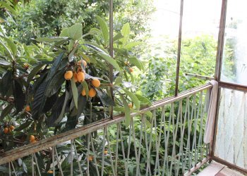 Foto 8 - Casa indipendente via giulio romano, Mantova - foto 8