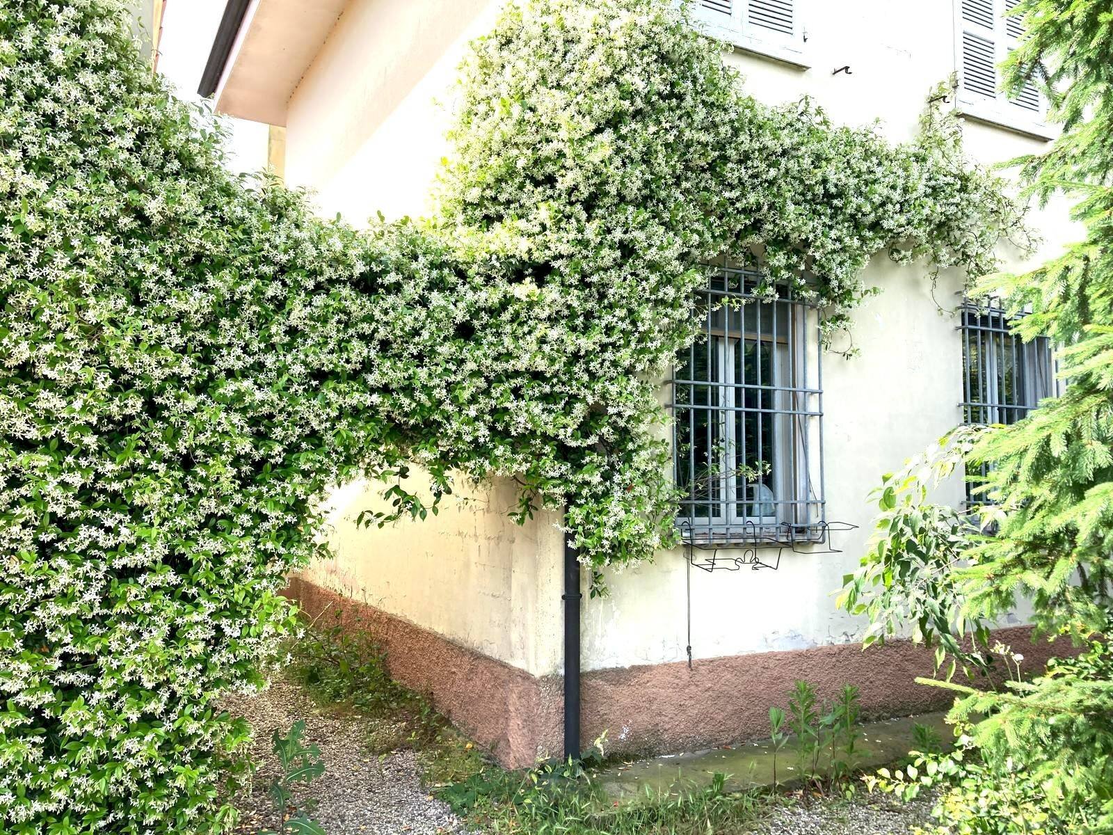 Foto 2 - Independent house via pilla, Curtatone - photo 2