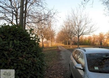 Foto 4 - Rustico Formigine - foto 4