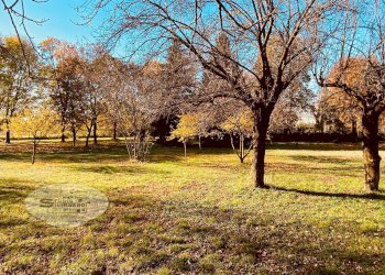 Foto 4 - Casa indipendente viale Sant'Ambrogio
 
47/g, Formigine - foto 4