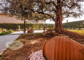 Foto 14 - Rustico Modena - foto 14