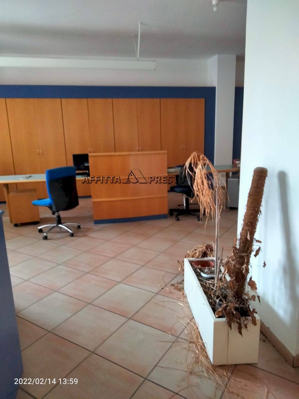 Foto 3 - Ufficio viale bovio, Cesena - foto 3