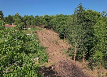 Foto 2 - Terreno edificabile snc, Mercenasco - foto 2