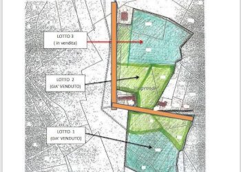Foto 3 - Terreno agricolo Strada Valle Bergero, Castiglione Torinese - foto 3