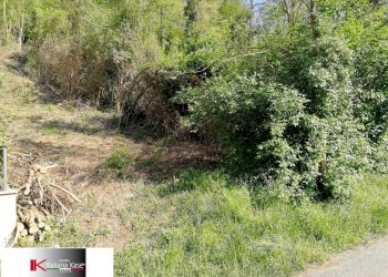 Foto 7 - Terreno agricolo Strada Valle Bergero, Castiglione Torinese - foto 7