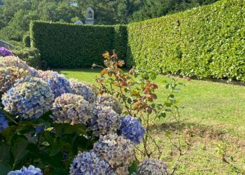 Foto 34 - Casa indipendente Stella - foto 34