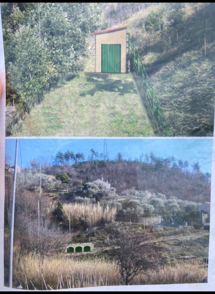 Foto 2 - Agricultural land Albisola Superiore - photo 2