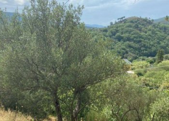 Foto 1 - Terreno agricolo Albisola Superiore - foto 1