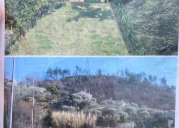 Foto 2 - Terreno agricolo Albisola Superiore - foto 2