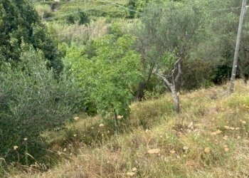 Foto 3 - Terreno agricolo Albisola Superiore - foto 3