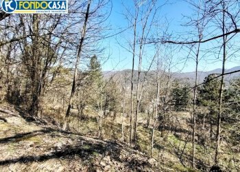 Foto 27 - Casa indipendente Via Cavaliere Davide Vignolo, Pontinvrea - foto 27