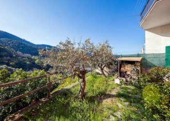 il giardino - Casa semi indipendente LocalitaTessi
 
49, Moneglia - foto 24