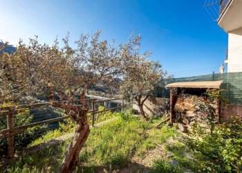 il giardino - Casa semi indipendente LocalitaTessi
 
49, Moneglia - foto 25