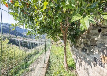 il giardino - Casa semi indipendente LocalitaTessi
 
49, Moneglia - foto 31