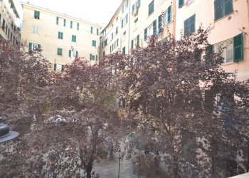 Foto 15 - Quadrilocale Vico Lavagna, Genova - foto 15