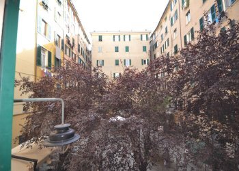 Foto 16 - Quadrilocale Vico Lavagna, Genova - foto 16