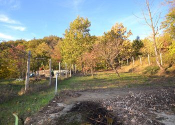 Foto 29 - Casa semi indipendente Via Genova
 
11, Morbello - foto 29