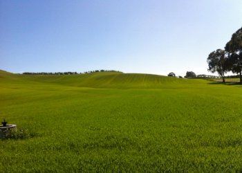 Foto 1 - Terreno agricolo Localita Croce di Magara, Casali del Manco - foto 1