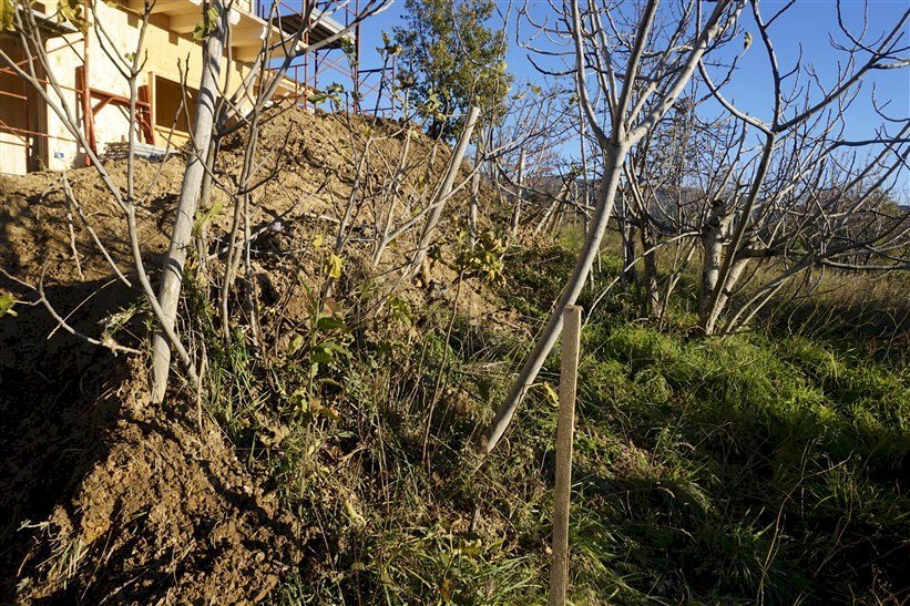 Foto 3 - Terreno edificabile via Donato  Bendicenti, Casali del Manco - foto 3