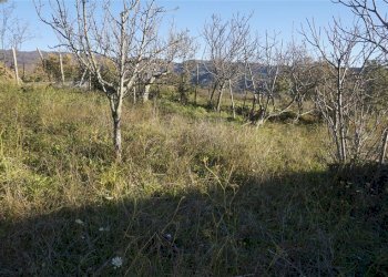 Foto 1 - Terreno edificabile via Donato Bendicenti, Casali del Manco - foto 1