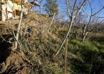 Foto 3 - Terreno edificabile via Donato Bendicenti, Casali del Manco - foto 3