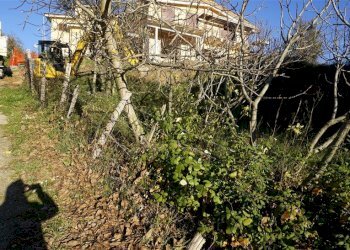 Foto 4 - Terreno edificabile via Donato Bendicenti, Casali del Manco - foto 4