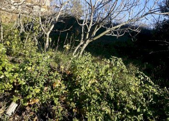 Foto 6 - Terreno edificabile via Donato Bendicenti, Casali del Manco - foto 6