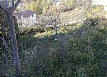 Foto 7 - Terreno edificabile via Donato Bendicenti, Casali del Manco - foto 7