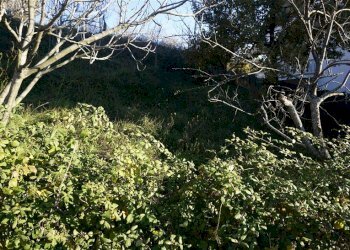 Foto 8 - Terreno edificabile via Donato Bendicenti, Casali del Manco - foto 8