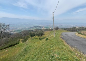 Foto 1 - Terreno agricolo Luzzi - foto 1