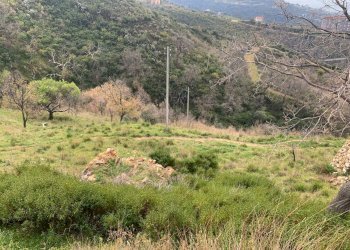 Foto 2 - Terreno agricolo Luzzi - foto 2