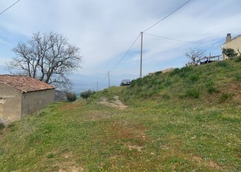 Foto 6 - Terreno agricolo Luzzi - foto 6