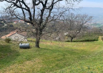 Foto 7 - Terreno agricolo Luzzi - foto 7