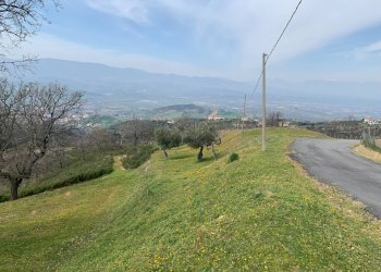 Foto 8 - Terreno agricolo Luzzi - foto 8